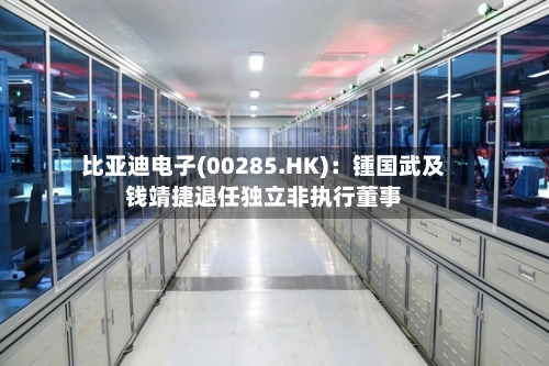 比亚迪电子(00285.HK)：锺国武及钱靖捷退任独立非执行董事