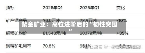 紫金矿业：高位进阶后的“韧性突围”-第2张图片