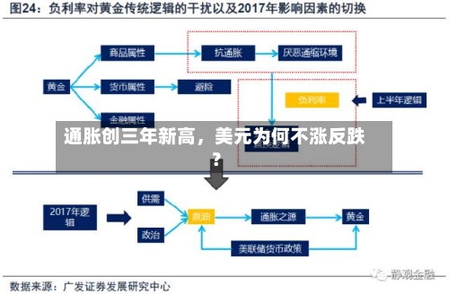 通胀创三年新高，美元为何不涨反跌？-第3张图片