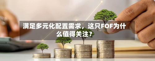 满足多元化配置需求，这只FOF为什么值得关注？
