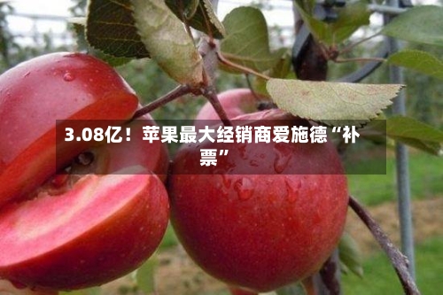 3.08亿！苹果最大经销商爱施德“补票”-第2张图片