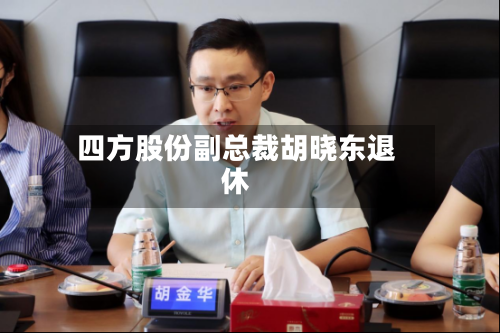 四方股份副总裁胡晓东退休