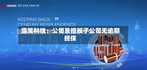 露笑科技：公司及控股子公司无逾期担保