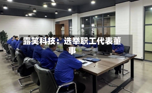 露笑科技：选举职工代表董事-第3张图片