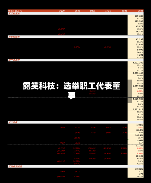 露笑科技：选举职工代表董事