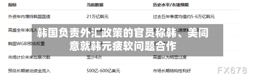 韩国负责外汇政策的官员称韩、美同意就韩元疲软问题合作-第2张图片