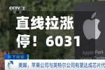 直线拉涨停！603137官宣，跨界半导体！明日起停牌