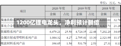 1200亿锂电龙头，净利预计翻倍-第3张图片