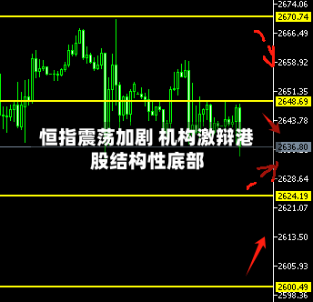 恒指震荡加剧 机构激辩港股结构性底部