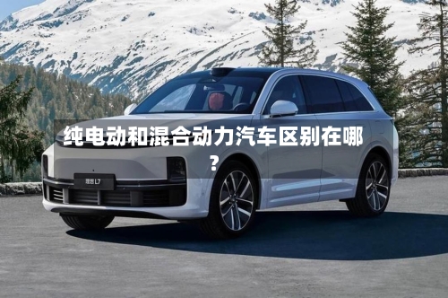 纯电动和混合动力汽车区别在哪？-第3张图片