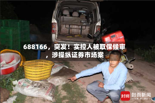 688166	，突发！实控人被取保候审，涉操纵证券市场案-第3张图片