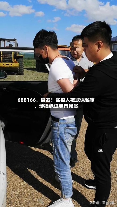 688166，突发！实控人被取保候审，涉操纵证券市场案