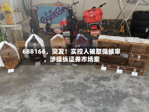 688166，突发！实控人被取保候审，涉操纵证券市场案-第2张图片