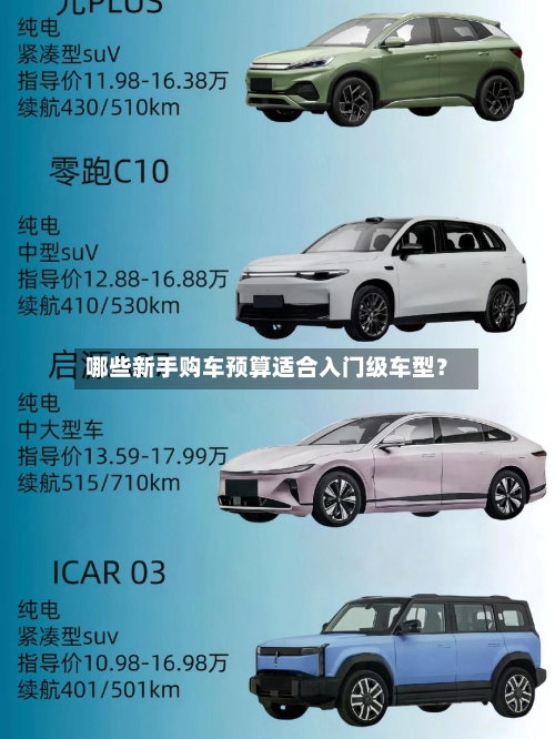 哪些新手购车预算适合入门级车型？-第2张图片