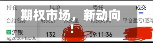 期权市场，新动向！-第2张图片