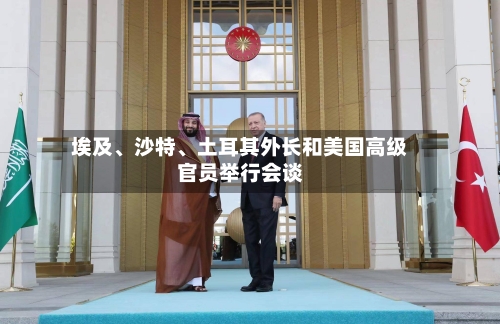 埃及、沙特、土耳其外长和美国高级官员举行会谈