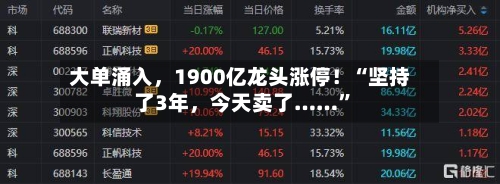 大单涌入，1900亿龙头涨停！“坚持了3年	，今天卖了……”-第2张图片