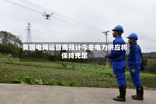 英国电网运营商预计今冬电力供应将保持充足-第2张图片