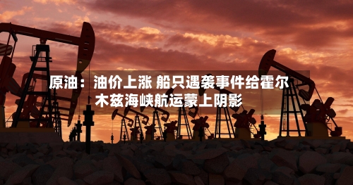 原油：油价上涨 船只遇袭事件给霍尔木兹海峡航运蒙上阴影