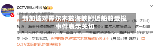 新加坡对霍尔木兹海峡附近船舶受损事件表示关切