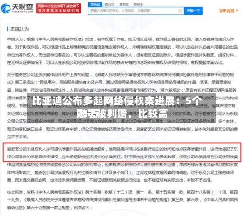 比亚迪公布多起网络侵权案进展：5个账号被判赔，比较高21万-第3张图片