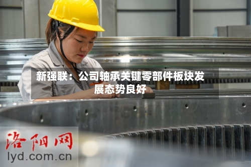 新强联：公司轴承关键零部件板块发展态势良好-第2张图片