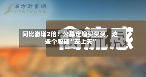同比激增2倍！公募定增买买买，这些个股被“宠上天”