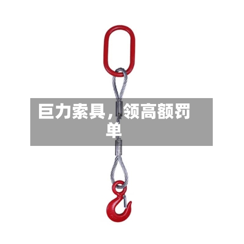 巨力索具，领高额罚单-第2张图片