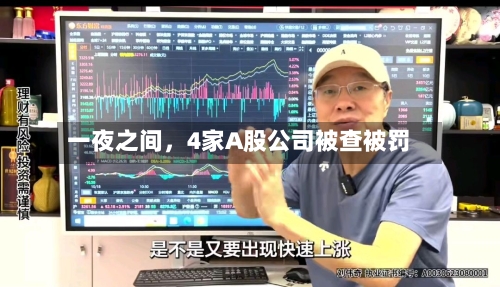 一夜之间，4家A股公司被查被罚-第2张图片