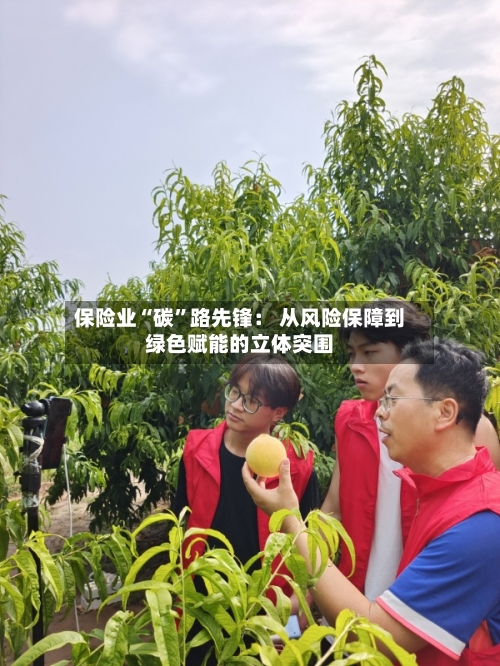 保险业“碳	”路先锋： 从风险保障到绿色赋能的立体突围-第3张图片