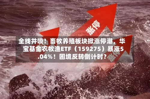 全线井喷！畜牧养殖板块掀涨停潮，华宝基金农牧渔ETF（159275）暴涨5.04%！困境反转倒计时？-第3张图片