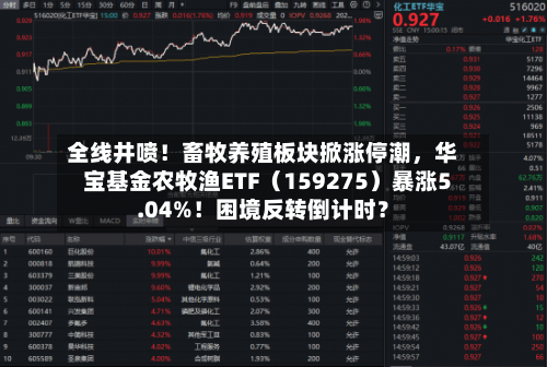 全线井喷！畜牧养殖板块掀涨停潮，华宝基金农牧渔ETF（159275）暴涨5.04%！困境反转倒计时？