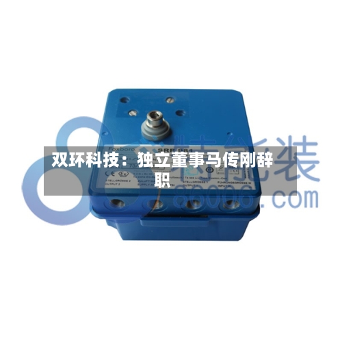 双环科技：独立董事马传刚辞职-第2张图片