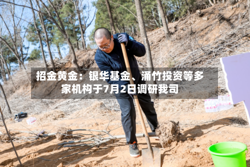 招金黄金：银华基金、涌竹投资等多家机构于7月2日调研我司-第2张图片