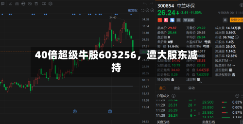40倍超级牛股603256，遭大股东减持