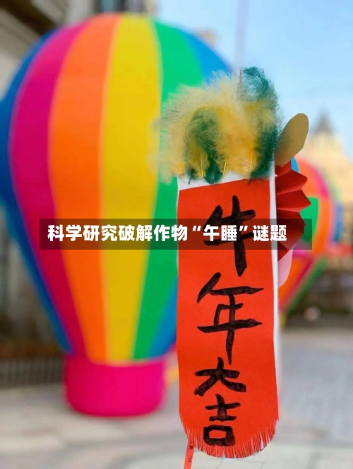 科学研究破解作物“午睡	”谜题-第2张图片