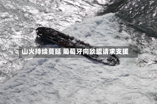 山火持续蔓延 葡萄牙向欧盟请求支援