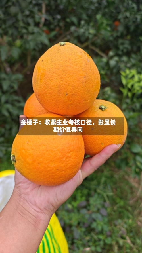 金橙子：收紧主业考核口径，彰显长期价值导向-第2张图片