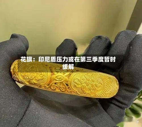 花旗：印尼盾压力或在第三季度暂时缓解-第3张图片