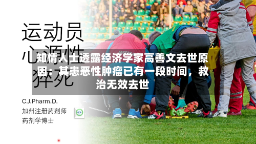知情人士透露经济学家高善文去世原因：其患恶性肿瘤已有一段时间	，救治无效去世-第2张图片
