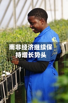 南非经济继续保持增长势头-第3张图片