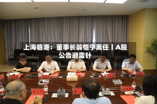 上海临港:董事长翁恺宁离任丨A股公告避雷针