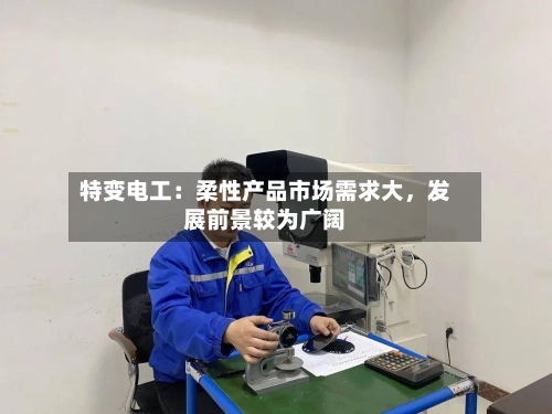 特变电工：柔性产品市场需求大，发展前景较为广阔