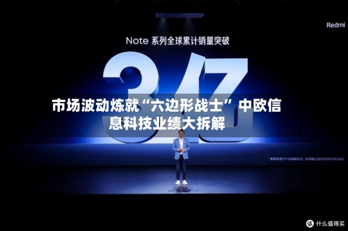 市场波动炼就“六边形战士” 中欧信息科技业绩大拆解